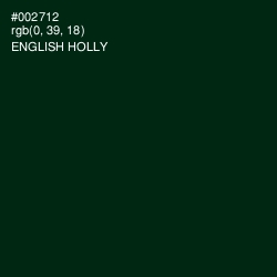 #002712 - English Holly Color Image